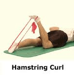 hamstring curl