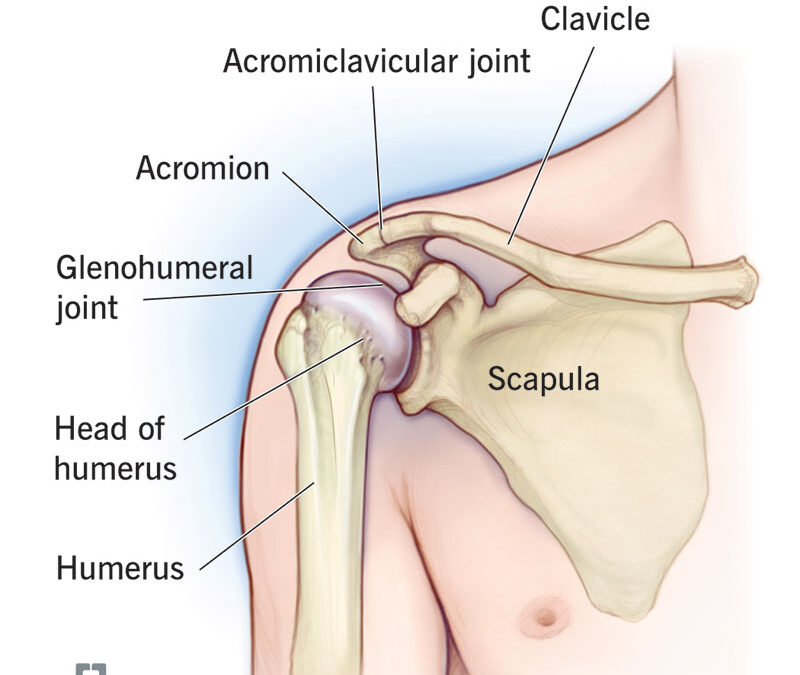  Total Shoulder Replacement: When and How – Expert Insights from Dr. Chethan Nagaraj, Orthocare Bangalore
